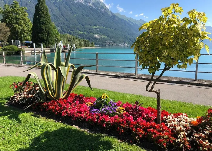 Lala Accommodatie bij particulieren *